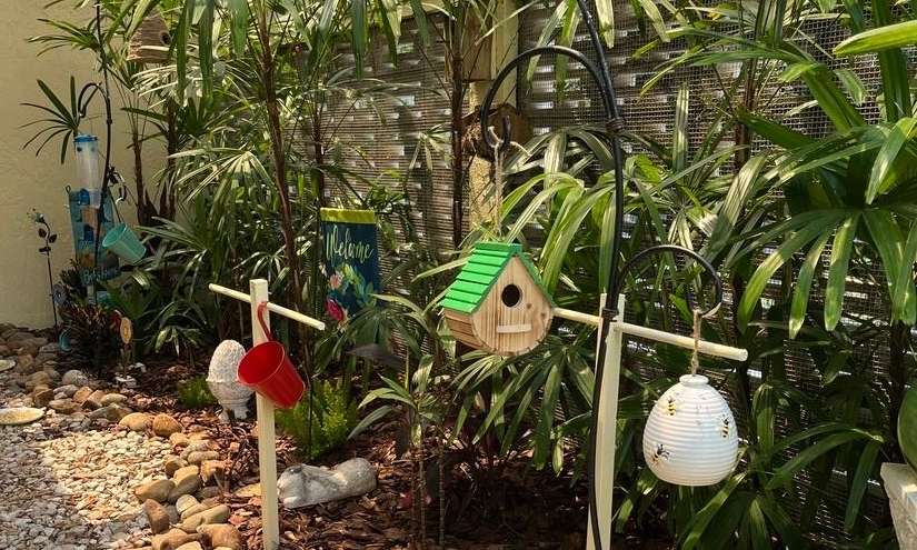 Bird sanctuary at dentist office in Brandon, FL